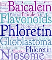 Flavonoids in the Treatment of Glioblastoma Using Niosomal Nanocarrier