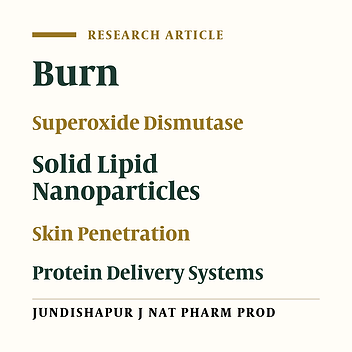 Superoxide Dismutase-Loaded Solid Lipid Nanoparticles Prepared by Cold Homogenization Method: Characterization and Permeation Study Through Burned Rat Skin