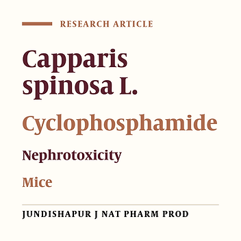 Protective Effects of the Hydroalcoholic Extract of Capparis spinosa L. Against Cyclophosphamide-Induced Nephrotoxicity in Mice
