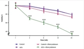 Anticancer Activity of Allium jesdianum Extract: A Potential Therapeutic Approach for Melanoma