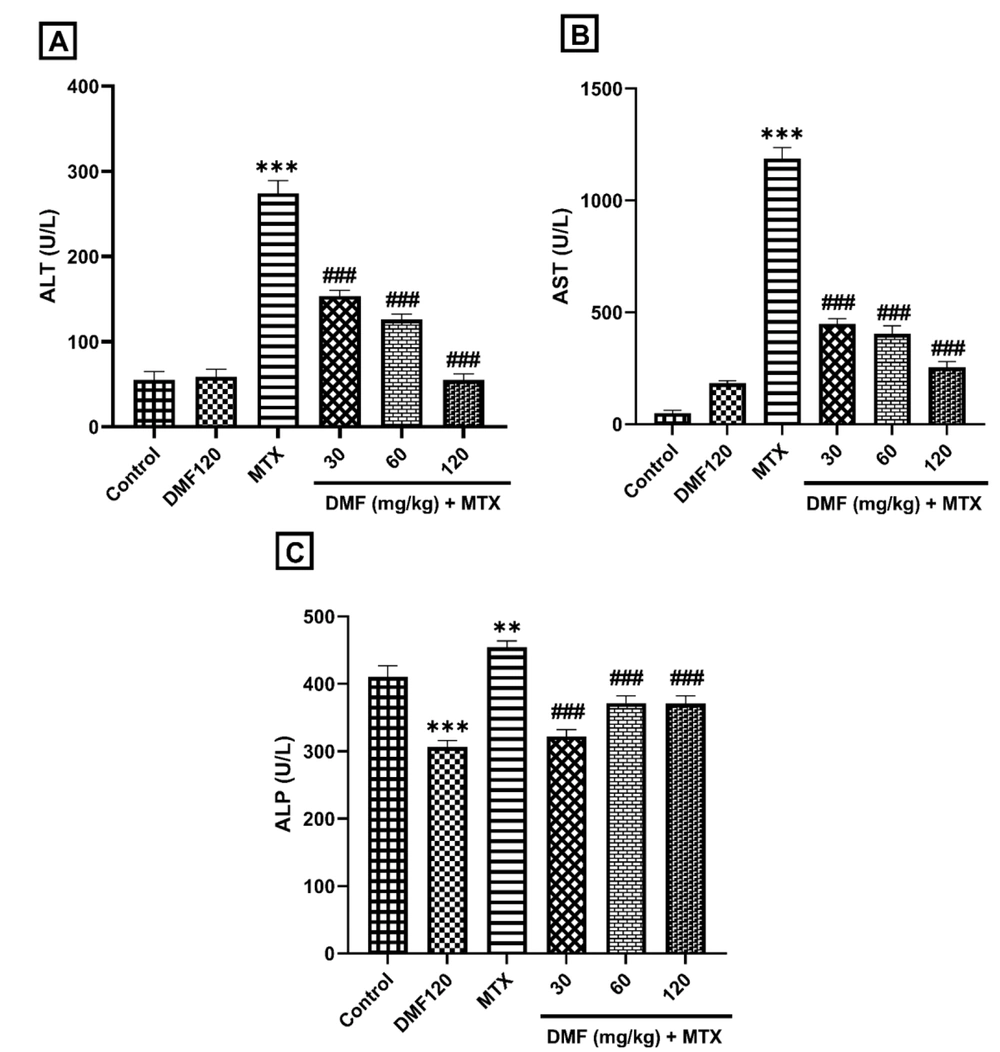 The effect of DMF (dimethyl fumarate) on the activity of liver enzymes in serum in the mouse model of hepatotoxicity induced by MTX (methotrexate). Serum activities are shown in A, alanine aminotransferase (ALT), B, aspartate aminotransferase (AST), and C, Alkaline phosphatase (ALP). **P < 0.01 and ***P < 0.001: Significant with the control group. ###P < 0.001: Significant with the MTX group The effect of DMF (dimethyl fumarate) on the activity of liver enzymes in serum in the mouse model of hepatotoxicity induced by MTX (methotrexate). Serum activities are shown in A, alanine aminotransferase (ALT), B, aspartate aminotransferase (AST), and C, Alkaline phosphatase (ALP). **P < 0.01 and ***P < 0.001: Significant with the control group. ###P < 0.001: Significant with the MTX group