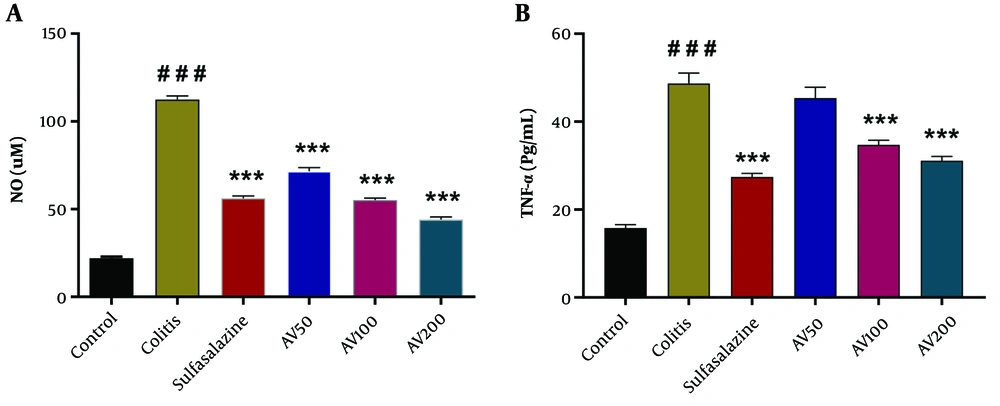 Effect of <i>A. vulgaris</i> extract treatment on serum levels of nitric oxide (NO) (A); and tumor necrosis factor-α (TNF-α) (B) in the acetic acid (AA)-induced colitis rats. Data are presented as mean ± standard error of the mean (n = 5 each); data were analyzed using one-way analysis of variance, followed by Tukey's post-hoc test. *** P < 0.001 vs. colitis group; ### P < 0.001 vs. control group. AV, <i>A. vulgaris</i>. Effect of <i>A. vulgaris</i> extract treatment on serum levels of nitric oxide (NO) (A); and tumor necrosis factor-α (TNF-α) (B) in the acetic acid (AA)-induced colitis rats. Data are presented as mean ± standard error of the mean (n = 5 each); data were analyzed using one-way analysis of variance, followed by Tukey's post-hoc test. *** P < 0.001 vs. colitis group; ### P < 0.001 vs. control group. AV, <i>A. vulgaris</i>.