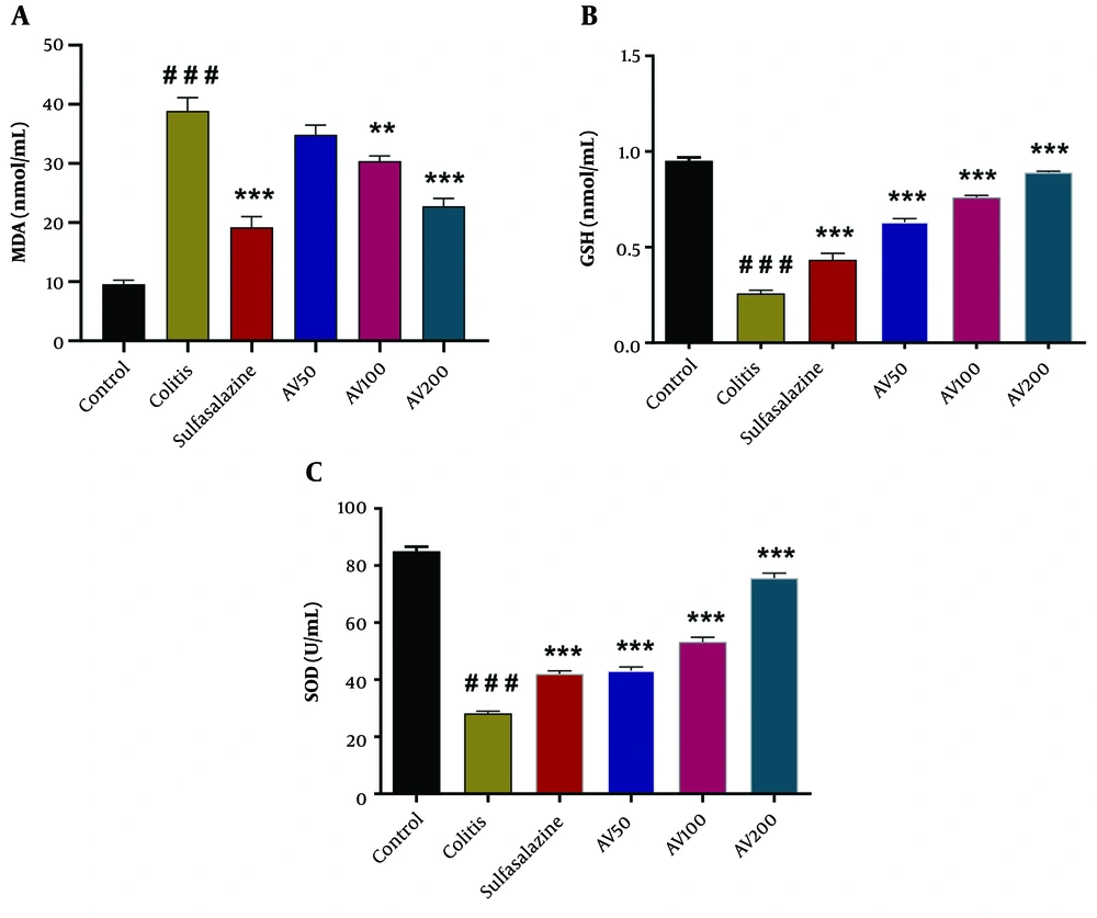 Effect of <i>A. vulgaris</i> extract treatment on serum levels of malondialdehyde (MDA) (A); glutathione (GSH) (B); and superoxide dismutase (SOD) (C) activity in the acetic acid (AA)-induced colitis rats. Data are expressed as mean ± standard error of the mean (n = 5 each); data were analyzed using one-way analysis of variance, followed by Tukey's post-hoc test. ** P < 0.01, *** P < 0.001 vs. colitis group; ### P < 0.001 vs. control group. AV, <i>A. vulgaris</i>. Effect of <i>A. vulgaris</i> extract treatment on serum levels of malondialdehyde (MDA) (A); glutathione (GSH) (B); and superoxide dismutase (SOD) (C) activity in the acetic acid (AA)-induced colitis rats. Data are expressed as mean ± standard error of the mean (n = 5 each); data were analyzed using one-way analysis of variance, followed by Tukey's post-hoc test. ** P < 0.01, *** P < 0.001 vs. colitis group; ### P < 0.001 vs. control group. AV, <i>A. vulgaris</i>.