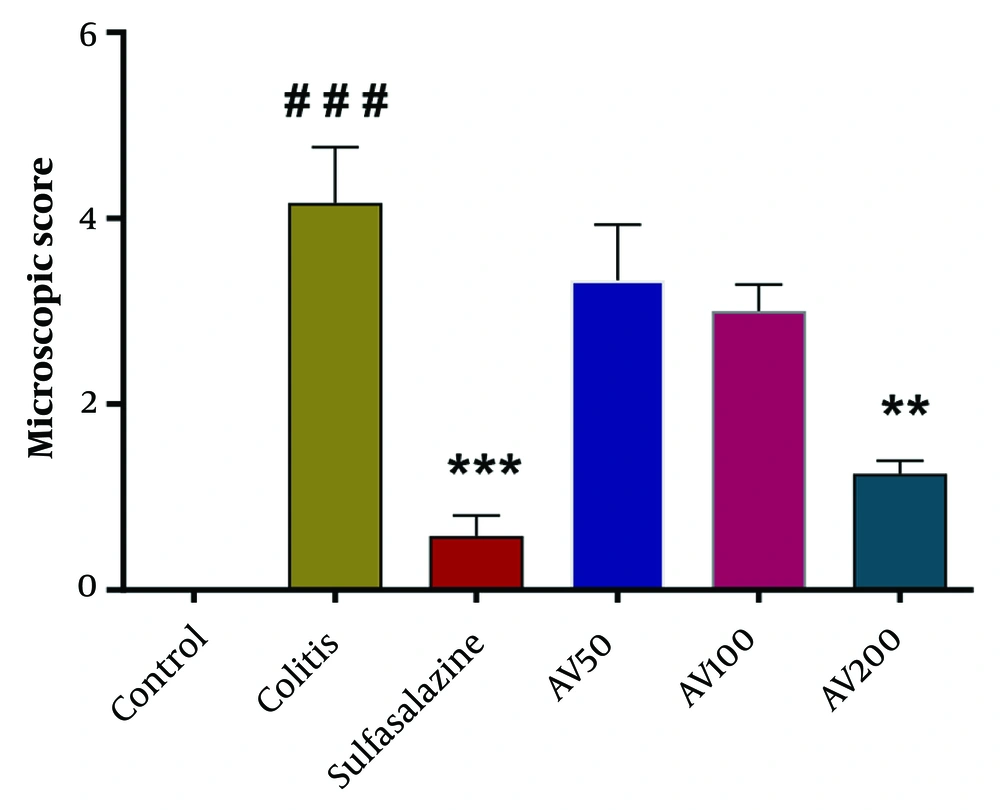 Effect of <i>A. vulgaris</i> extract treatment on the microscopic score of colonic injury in the acetic acid (AA)-induced colitis rats. Data were analyzed using one-way analysis of variance, followed by Tukey's post-hoc test. ** P < 0.01, *** P < 0.001 vs. colitis group; ### P < 0.001 vs. control group. AV, <i>A. vulgaris</i>. Effect of <i>A. vulgaris</i> extract treatment on the microscopic score of colonic injury in the acetic acid (AA)-induced colitis rats. Data were analyzed using one-way analysis of variance, followed by Tukey's post-hoc test. ** P < 0.01, *** P < 0.001 vs. colitis group; ### P < 0.001 vs. control group. AV, <i>A. vulgaris</i>.