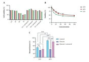 In Vitro Evaluation of Carvacrol's Wound Healing Capacity in Human Dermal Fibroblasts Grown in High-Glucose Stress