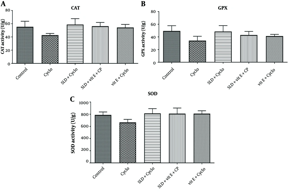 A, The effect of sildenafil and Vit E on the activities of CAT; B, glutathione peroxidase (GPx); and C, superoxide dismutase (SOD) against CP-induced hepatotoxicity in rats. Cyclo 200 mg/kg of cyclophosphamide, SLD: Sildenafil (75 mg/kg), Vit E (500 mg/kg), GPx: Glutathione peroxidase, SOD: Superoxide dismutase. Each value represents the mean ± SD (n = 6). a, significantly different from Control groups; b, significantly different from cyclo-treated group. A, The effect of sildenafil and Vit E on the activities of CAT; B, glutathione peroxidase (GPx); and C, superoxide dismutase (SOD) against CP-induced hepatotoxicity in rats. Cyclo 200 mg/kg of cyclophosphamide, SLD: Sildenafil (75 mg/kg), Vit E (500 mg/kg), GPx: Glutathione peroxidase, SOD: Superoxide dismutase. Each value represents the mean ± SD (n = 6). a, significantly different from Control groups; b, significantly different from cyclo-treated group.