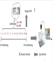 The Effect of Probiotic Supplementation on Morphine Preference in Rats: Possible Antioxidative/Oxidative Signaling Pathway