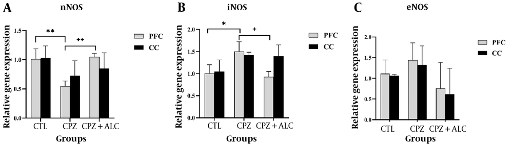 acetyl l carnitine nitric oxide Acetyl-L-carnitine Improves Depressive-like Behaviors Through Nitric Oxide  Modulation in the Cuprizone Intoxication Mouse Model of Multiple Sclerosis