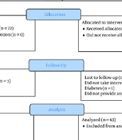 The Effect of Chamomile on Moderate Postpartum Depression: A Randomized Controlled Trial in Dezful, Iran