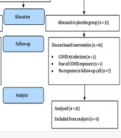 The Efficacy of a Traditional Herbal Medicine Compound for Functional Dyspepsia: A Randomized, Double-Blind, Placebo-Controlled Trial