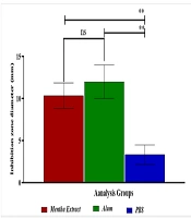 The In Vitro Study of the Synergistic Antibacterial Effect of Hydroalcoholic Mentha Extract with Alum on the Growth of Streptococcus mutans