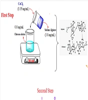 Cover image of the article: Investigation of Alginate-Chitosan nanoparticles As a Drug Carrier for Levothyroxine