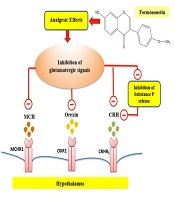 Analgesic Effects of Formononetin: An Investigation of the Role of Hypothalamic Corticotrophin Releasing Hormone, Orexin, and Melanin Concentrating Hormone Signaling Pathways in a Pain Model of Rats