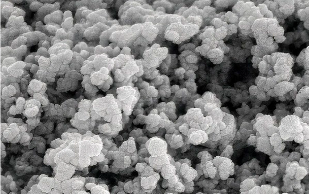 SEM image of optimized liposomal formulation SEM image of optimized liposomal formulation