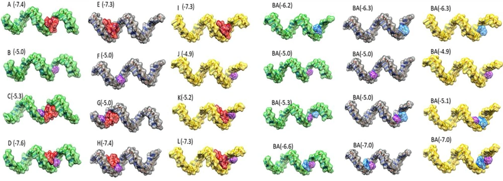 Molecular docking analysis. The predicted 3D structures of mature miRNAs with vitamin C, vincristine and pathenolide. The green, gray, yellow, red, blue and purple color indicated as miR-17-5p, miR-125b-5p, miR-181b-5p, vincristine, parthenolide and vitamin C, respectively. The numbers in picture represent binding affinity of each interaction. Molecular docking analysis. The predicted 3D structures of mature miRNAs with vitamin C, vincristine and pathenolide. The green, gray, yellow, red, blue and purple color indicated as miR-17-5p, miR-125b-5p, miR-181b-5p, vincristine, parthenolide and vitamin C, respectively. The numbers in picture represent binding affinity of each interaction.