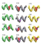 Vitamin C: Friend or Foe? “Unveiling Interaction with Parthenolide, Vincristine, miR-17-5p, miR-125b-5p, miR-181b-5p  Expression, and Apoptosis in NALM6 Cell Line