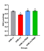 Photoprotective Effects of Oral Pterostilbene in UVB-Induced Skin Photoaging BALB/c Mouse Model