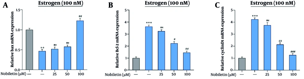 The effects of nobiletin (NOB) on the expression of <i>Bax</i>, CyclinD1 and <i>Bcl-2</i> in the MCF-7 breast cancer (BC) cell line – the estrogen (100 nM)-treated (E<sup>+</sup>) groups consist of an untreated group and a NOB (50, and 100 µM)-treated group: A, 100 µM of NOB significantly increased the gene expression of <i>Bax</i> in MCF-7 cells; B, fifty and 100 µM of NOB inhibit the gene expression of <i>Bcl-2 </i>in MCF-7 cells, significantly; C, fifty 50 and 100 µM of NOB inhibit the gene expression of CyclinD1 in MCF-7 cells, significantly. ** P < 0.01, *** P < 0.001 significant compared to the control; # P < 0.05, ## P < 0.01, ### P < 0.001 significant compared to the E<sup>+</sup> group; ns denotes "not significant". The effects of nobiletin (NOB) on the expression of <i>Bax</i>, CyclinD1 and <i>Bcl-2</i> in the MCF-7 breast cancer (BC) cell line – the estrogen (100 nM)-treated (E<sup>+</sup>) groups consist of an untreated group and a NOB (50, and 100 µM)-treated group: A, 100 µM of NOB significantly increased the gene expression of <i>Bax</i> in MCF-7 cells; B, fifty and 100 µM of NOB inhibit the gene expression of <i>Bcl-2 </i>in MCF-7 cells, significantly; C, fifty 50 and 100 µM of NOB inhibit the gene expression of CyclinD1 in MCF-7 cells, significantly. ** P < 0.01, *** P < 0.001 significant compared to the control; # P < 0.05, ## P < 0.01, ### P < 0.001 significant compared to the E<sup>+</sup> group; ns denotes "not significant".