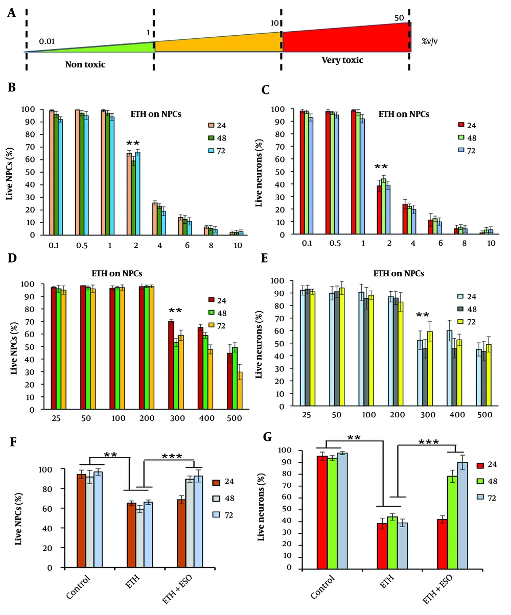Comparison of the effects of exposure to different concentrations of ethanol (ETH) and <i>Rosa damascena</i> essential oil (ESO) on cell viability in neural progenitor cells (NPCs) and neural cells (NCs): A, the figure shows the schematic diagram of cytotoxic impact of different ETH concentrations; B, illustrates the effects of various ETH concentrations on cell viability in NPCs; and C, NCs after 24, 48 and 72 hours of exposure; D, depicts the effects of different concentrations of ESO on cell viability in NPCs after 24, 48, and 72 hours of exposure; (E) demonstrates the effects of various concentrations of ESO on cell viability in NCs after 24, 48, and 72 hours of exposure; F, shows the effects of simultaneous exposure to ESO + ETH on cell viability in NPCs after 24, 48, and 72 hours of exposure; G, illustrates the effects of simultaneous exposure to ESO + ETH on cell viability in NCs after 24, 48, and 72 hours of exposure (asterisks show significant differences among control and treated samples in each column; **P < 0.01 and ***P < 0.001). Comparison of the effects of exposure to different concentrations of ethanol (ETH) and <i>Rosa damascena</i> essential oil (ESO) on cell viability in neural progenitor cells (NPCs) and neural cells (NCs): A, the figure shows the schematic diagram of cytotoxic impact of different ETH concentrations; B, illustrates the effects of various ETH concentrations on cell viability in NPCs; and C, NCs after 24, 48 and 72 hours of exposure; D, depicts the effects of different concentrations of ESO on cell viability in NPCs after 24, 48, and 72 hours of exposure; (E) demonstrates the effects of various concentrations of ESO on cell viability in NCs after 24, 48, and 72 hours of exposure; F, shows the effects of simultaneous exposure to ESO + ETH on cell viability in NPCs after 24, 48, and 72 hours of exposure; G, illustrates the effects of simultaneous exposure to ESO + ETH on cell viability in NCs after 24, 48, and 72 hours of exposure (asterisks show significant differences among control and treated samples in each column; **P < 0.01 and ***P < 0.001).