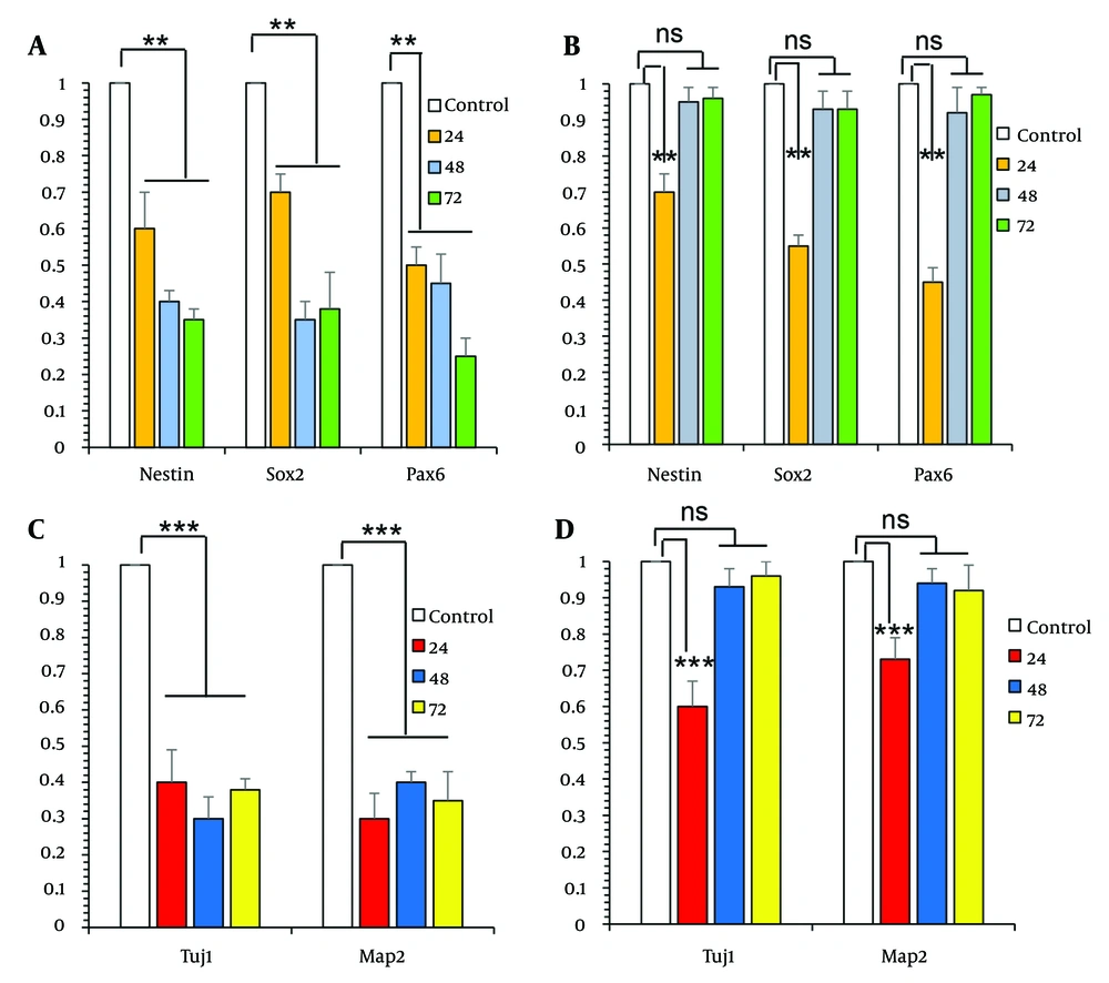 Comparison of the effects of exposure to ethanol (ETH) and essential oil (ESO) on gene expression in neural progenitor cells (NPCs) and neural cells (NCs): A, the figure showed a significant reduction of neuroepithelial stem cell protein (Nestin), Sex determining region Y-box 2 (Sox2), and Paired Box 6 (Pax6) gene expression in the groups treated with ETH for 24, 48, and 72 hours; B, this decline was not observed in the groups that received both ETH and ESO for 48 and 72 hours; C, showed a significant decrease in the expression levels of III β-tubulin (Tuj1) and microtubule associated protein 2 (Map2) genes in the groups treated with ETH; D, in contrast, in the groups treated simultaneously with ETH and ESO for 48 and 72 hours, this decrease in gene expression was not observed (asterisks show significant differences among control and treated samples in each column; **P < 0.01 and ***P < 0.001; Abbreviation: NS, not significant). Comparison of the effects of exposure to ethanol (ETH) and essential oil (ESO) on gene expression in neural progenitor cells (NPCs) and neural cells (NCs): A, the figure showed a significant reduction of neuroepithelial stem cell protein (Nestin), Sex determining region Y-box 2 (Sox2), and Paired Box 6 (Pax6) gene expression in the groups treated with ETH for 24, 48, and 72 hours; B, this decline was not observed in the groups that received both ETH and ESO for 48 and 72 hours; C, showed a significant decrease in the expression levels of III β-tubulin (Tuj1) and microtubule associated protein 2 (Map2) genes in the groups treated with ETH; D, in contrast, in the groups treated simultaneously with ETH and ESO for 48 and 72 hours, this decrease in gene expression was not observed (asterisks show significant differences among control and treated samples in each column; **P < 0.01 and ***P < 0.001; Abbreviation: NS, not significant).