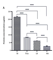 Recombinant Expression of Single-Chain Variable Fragment Antibody: A Comparative Study of Growth Medium Effects