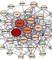 Cover image of the article: Unraveling the Potential Pharmacological Mechanisms of Capparis spinosa Properties Based on the Network Pharmacology and Molecular Docking