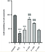 Selegiline’s Protective Role Against Elastase-Induced Oxidative Stress in A549 Cells via NRF2/Keap1 Pathway