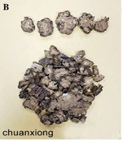 A Survey on Traditional Chinese Medicine as an Adjunct to Conventional Medical Abortion (Mifepristone and Misoprostol) and Its Potential Influence on Relevant Outcomes or Complications