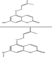 Plant-Origin Coumarin-Hemiterpene Ethers and Their Chemotaxonomic Significance