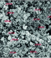 Green Synthesis and Antibacterial Activity of Zinc Oxide Nanoparticles Using Rosemary (Salvia rosmarinus) Extract