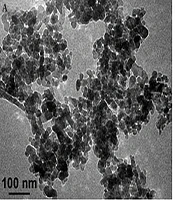 Molecular Study of Wound Healing Activity of Quercus brantii (Persian Oak) Fruit Extract in the Presence of Zinc Oxide Nanoparticles
