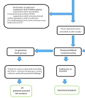 Daily vs. Every-Other-Day Antibiotic Prophylaxis in Children with Vesicoureteral Reflux: A Randomized Clinical Trial
