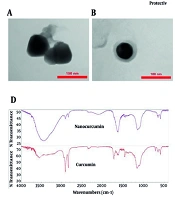 Protective Effects of Nanocurcumin and Fenofibrate on Diet-Induced Nonalcoholic Steatohepatitis in Rats: A Study on Modulation of Oxidative Stress