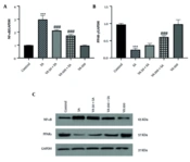 Protective Role of Vanillic Acid Against Sodium Arsenite-Induced Cardiotoxicity in Male Mice: A Focus on Antioxidant and Anti-inflammatory Properties