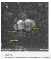 Preparation and Physicochemical Characterization of Ofloxacin-Loaded Alginate-Chitosan Nanogel: Comparison to Ofloxacin-Loaded Alginate Nanogel