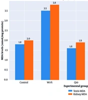 Protective Effects of Coenzyme Q10 Against Urogenital Damage Induced by 2.45 GHz Wi-Fi Radiofrequency Radiation in Rats