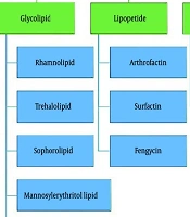 Cover image of the article: Antiviral Mechanisms of Microbial Biosurfactants: A Narrative Review of Current Evidence and Therapeutic Potential