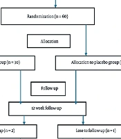 The Effect of Propolis on Anthropometric Indices and Body Composition in Men with Asthenozoospermia: A Randomized Double-Blind Clinical Trial