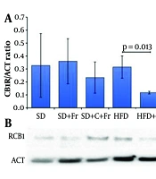 Curcumin Modulates Hippocampal Cannabinoid Receptor Expression in Mice Fed High-Fat and High-Fructose Diets