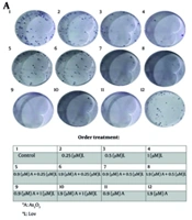 Synergistic Antitumor Effects of Lovastatin and Arsenic Trioxide Combination on the MDA-MB-231 Breast Cancer Cell Line: A Drug Repositioning Approach