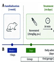 Resveratrol Protects the Prefrontal Cortex Against Methamphetamine Neurotoxicity: Association with SIRT1 and Changes in miR-22, miR-9, and miR-138 Expression