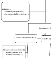 Efficacy of a Pomegranate–Mint Syrup in Managing Chemotherapy-Induced Nausea and Vomiting in Breast Cancer: A Randomized, Double-Blind, Placebo-Controlled Clinical Trial