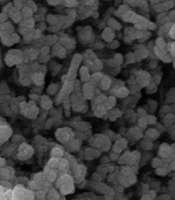 Curcumin-Loaded Liposomes for Transdermal Delivery: A 22 Factorial Screening and Ex Vivo Skin Permeation Study