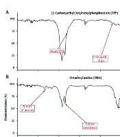 Development and Physicochemical Optimization of Octadecylamine–Triphenylphosphonium Cationic Liposomes for Coenzyme Q10 Delivery: A 23 Factorial Design