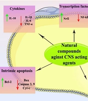 The Protective Properties of Natural Products Against Neurotoxicity Induced by Stimulant, Hallucinogenic, and Opioid CNS Agents