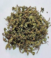 Preparation and Evaluation of a Dracocephalum kotschyi Herbal Cough Syrup: Formulation, Physicochemical Characterization, and Microbial Quality Assessment