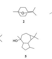 Comparative Analysis of the Chemical Composition and Antibacterial Properties of Eucalyptus Camaldulensis Essential Oils from Four Regions of Khuzestan Province, Iran