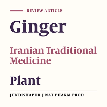 Ginger From Ancient Times to the New Outlook