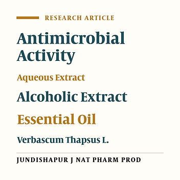 Antimicrobial Activity of Aqueous-Alcoholic Extracts and the Essential Oil of Verbascum thapsus L.
