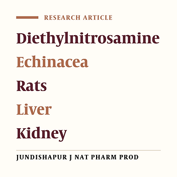 Effects of Echinacea purpurea on Hepatic and Renal Toxicity Induced by Diethylnitrosamine in Rats
